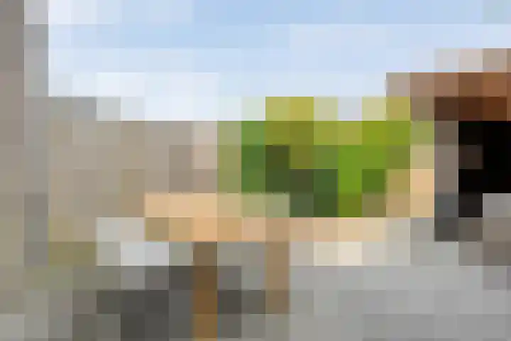 Jongsmalaan 13 Hardenberg thumbnail 27