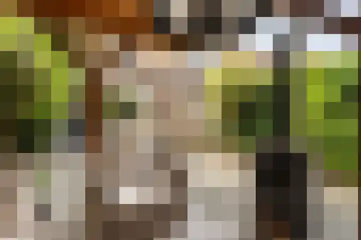 Jongsmalaan 13 Hardenberg thumbnail 30