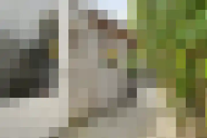 Jongsmalaan 13 Hardenberg thumbnail 32