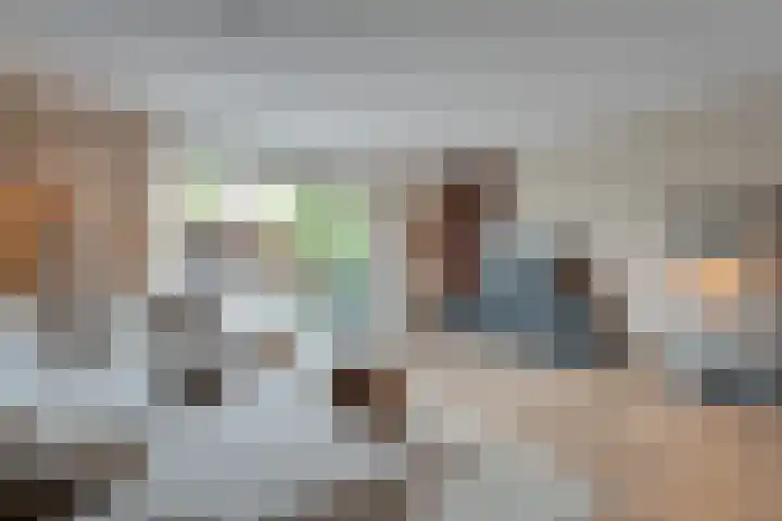 Jongsmalaan 13 Hardenberg thumbnail 4