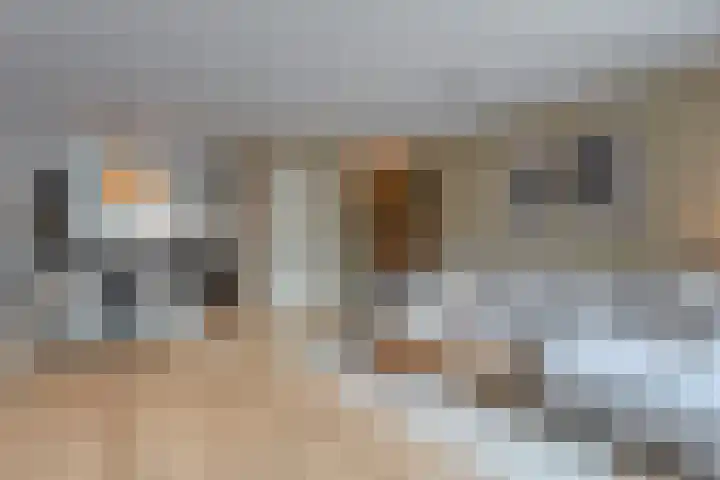 Jongsmalaan 13 Hardenberg thumbnail 5
