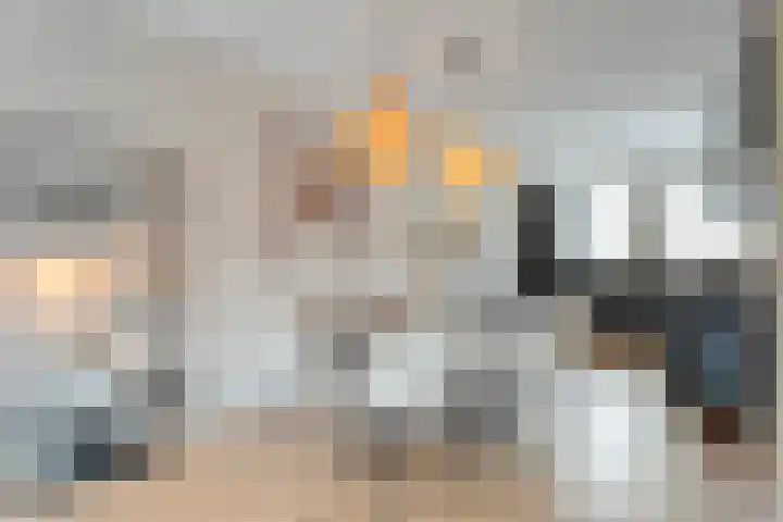 Jongsmalaan 13 Hardenberg thumbnail 6