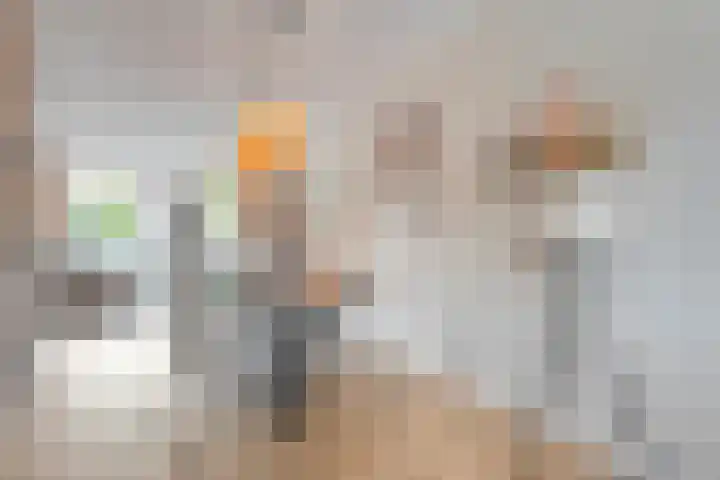 Jongsmalaan 13 Hardenberg thumbnail 7