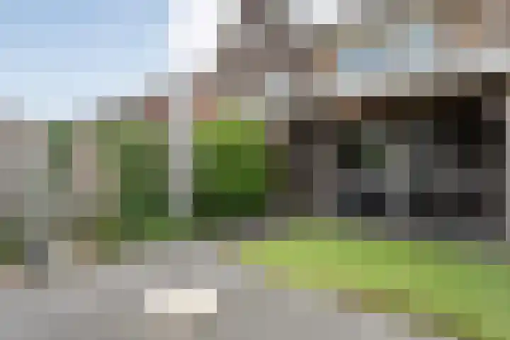 Jongsmalaan 19 Hardenberg thumbnail 27