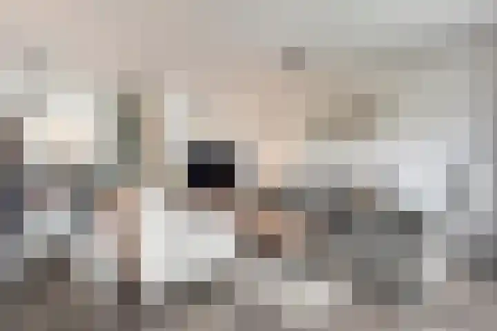 Jongsmalaan 19 Hardenberg thumbnail 4