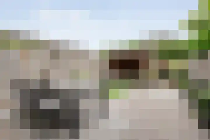 Jongsmalaan 32 Hardenberg thumbnail 33