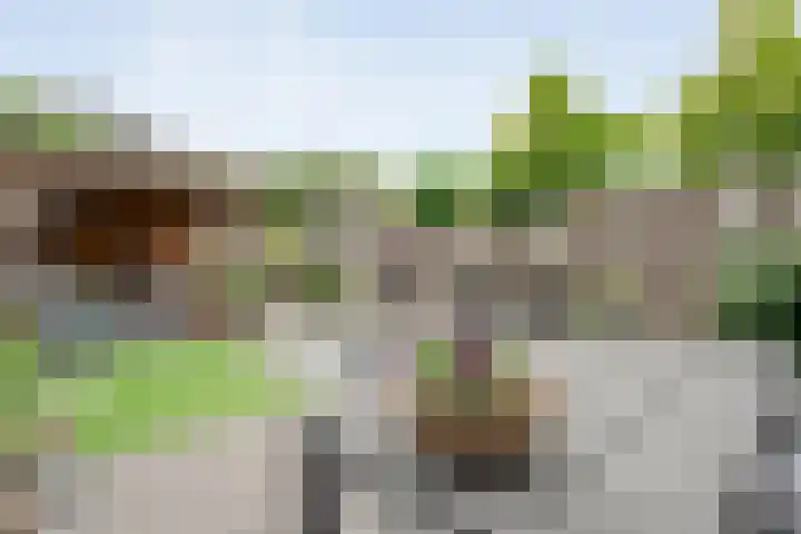 Jongsmalaan 32 Hardenberg thumbnail 34