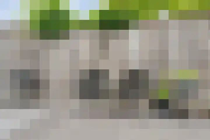 Jongsmalaan 32 Hardenberg thumbnail 35