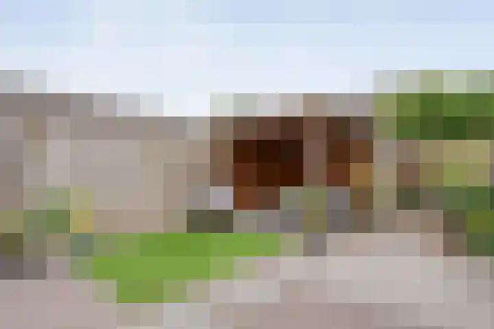 Jongsmalaan 32 Hardenberg thumbnail 36