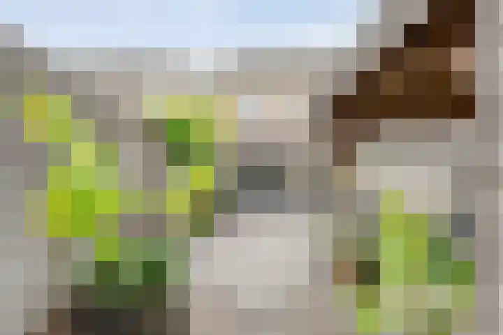 Jongsmalaan 32 Hardenberg thumbnail 38
