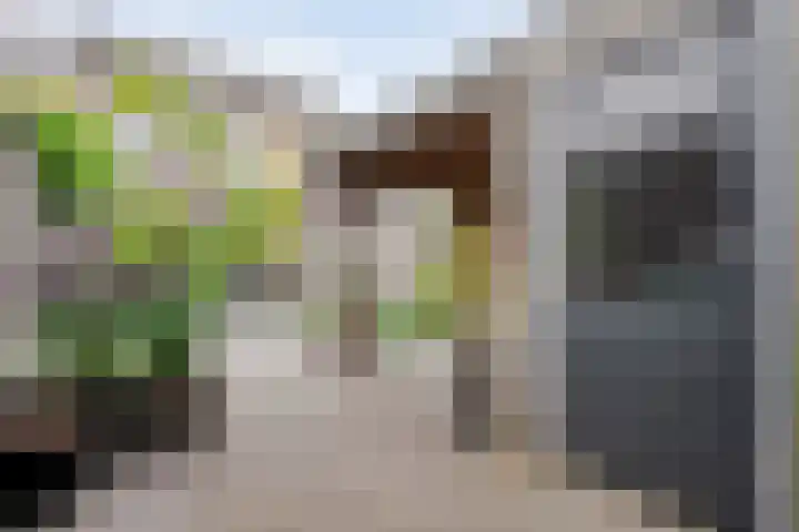 Jongsmalaan 32 Hardenberg thumbnail 39