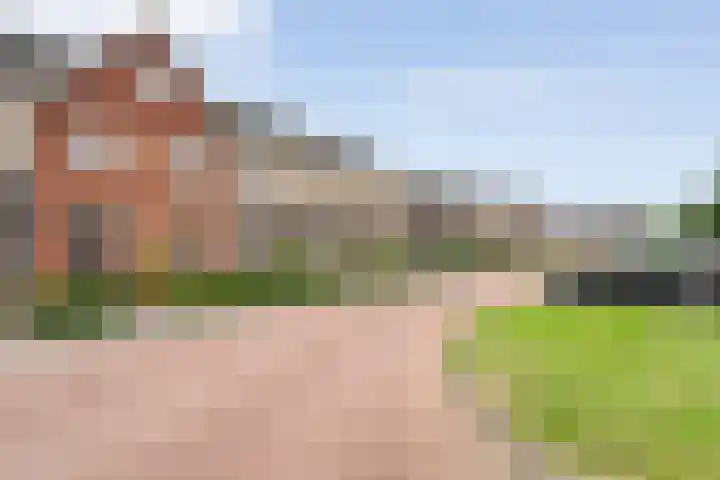 Jongsmalaan 32 Hardenberg thumbnail 4