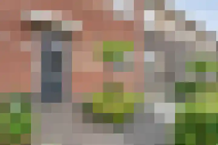 Jongsmalaan 32 Hardenberg thumbnail 6