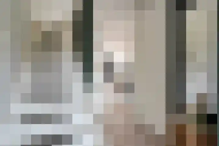 Jongsmalaan 32 Hardenberg thumbnail 7