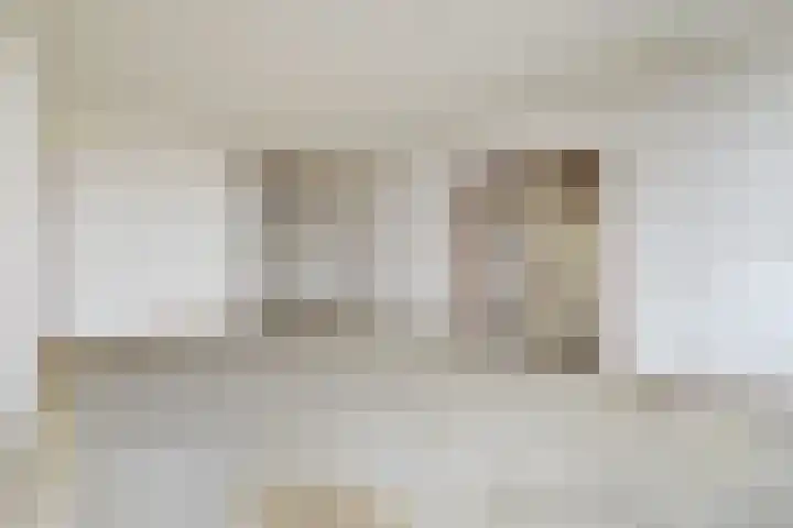 Jonkerbos 103 Zoetermeer thumbnail 11