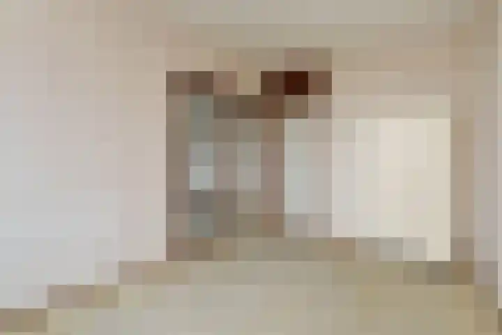 Jonkerbos 103 Zoetermeer thumbnail 12