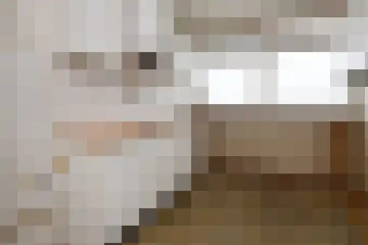 Jonkerbos 103 Zoetermeer thumbnail 16