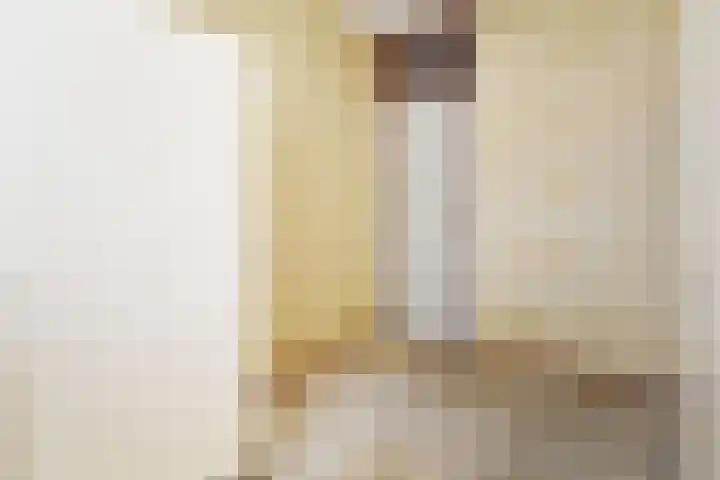 Jonkerbos 103 Zoetermeer thumbnail 21