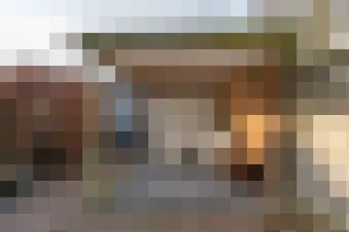 Jonkerbos 103 Zoetermeer thumbnail 28