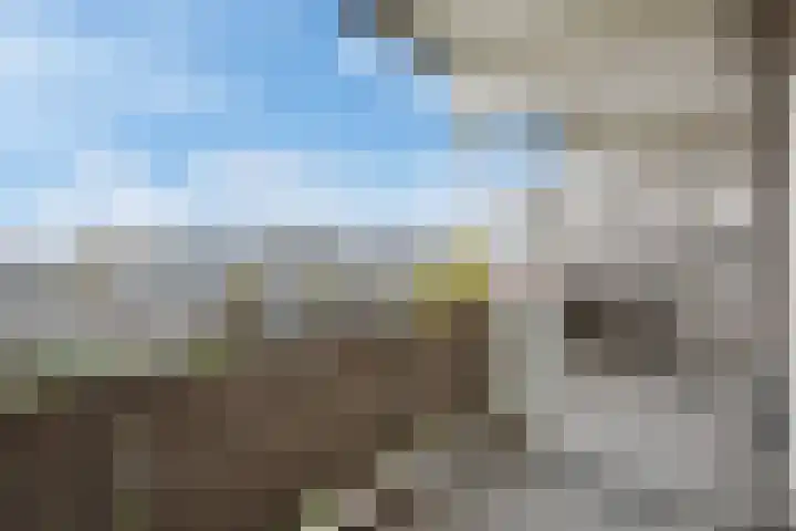 Jonkerbos 103 Zoetermeer thumbnail 29