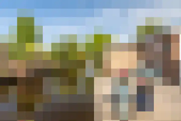 Jonkerbos 103 Zoetermeer thumbnail 30