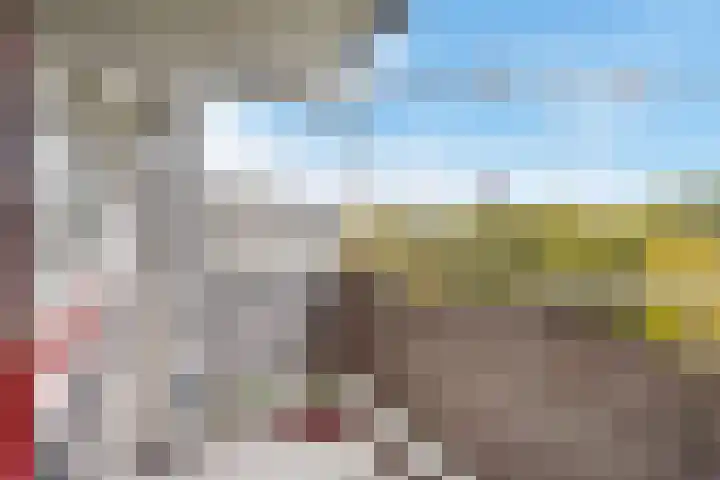 Jonkerbos 103 Zoetermeer thumbnail 31