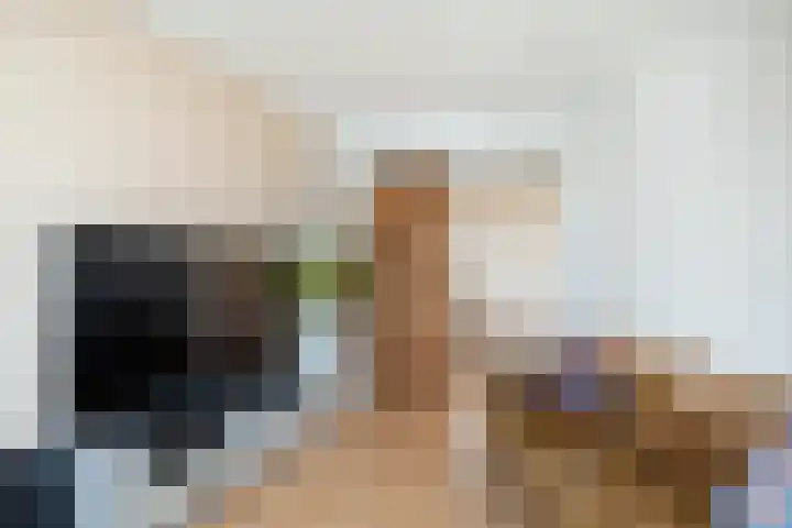 Jonkerbos 201 Zoetermeer thumbnail 11