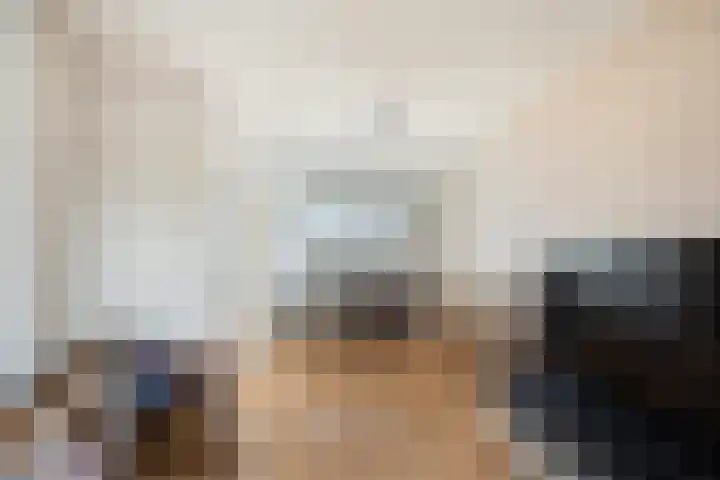 Jonkerbos 201 Zoetermeer thumbnail 12