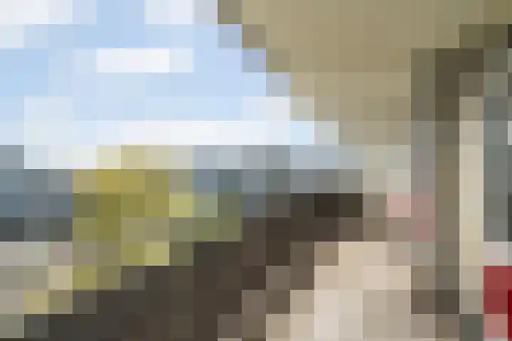 Jonkerbos 201 Zoetermeer thumbnail 20