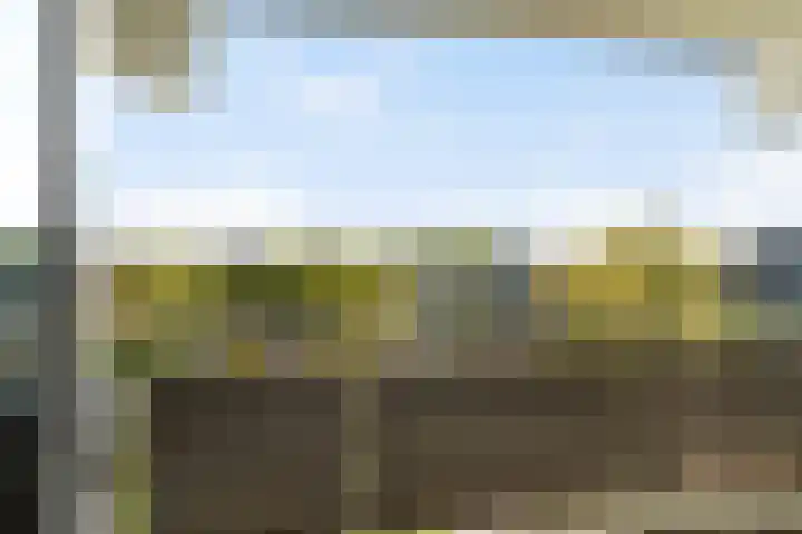 Jonkerbos 201 Zoetermeer thumbnail 21