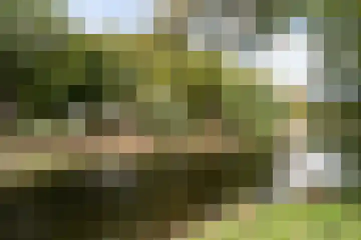 Jonkerbos 201 Zoetermeer thumbnail 33