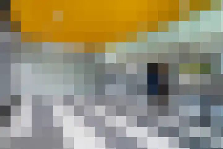 Jonkerbos 201 Zoetermeer thumbnail 6
