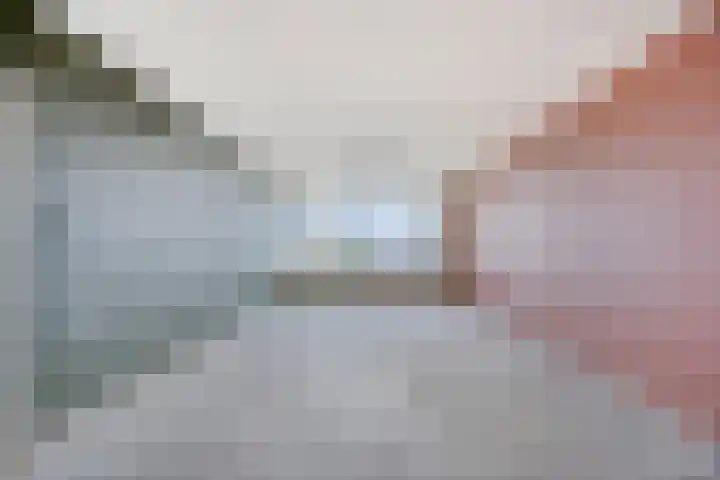 Jonkerbos 233 Zoetermeer thumbnail 10