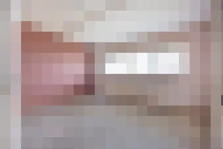 Jonkerbos 233 Zoetermeer thumbnail 15