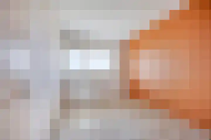 Jonkerbos 233 Zoetermeer thumbnail 18