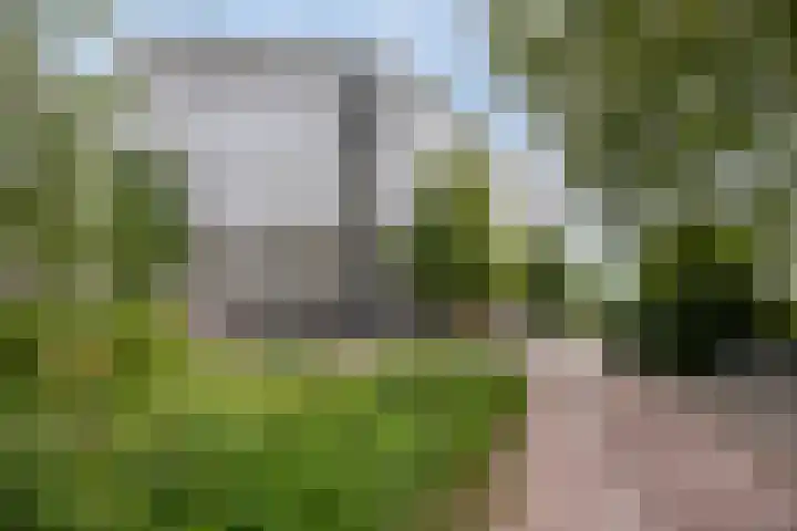 Jonkerbos 233 Zoetermeer thumbnail 26