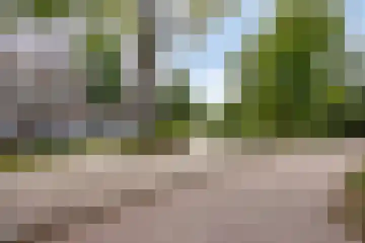 Jonkerbos 233 Zoetermeer thumbnail 4
