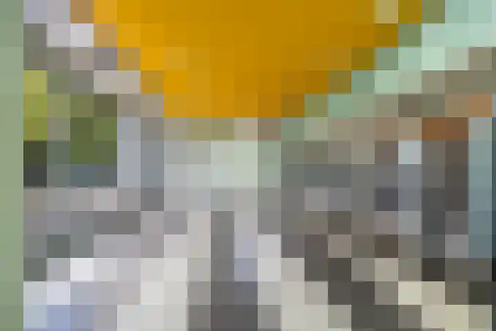 Jonkerbos 233 Zoetermeer thumbnail 5