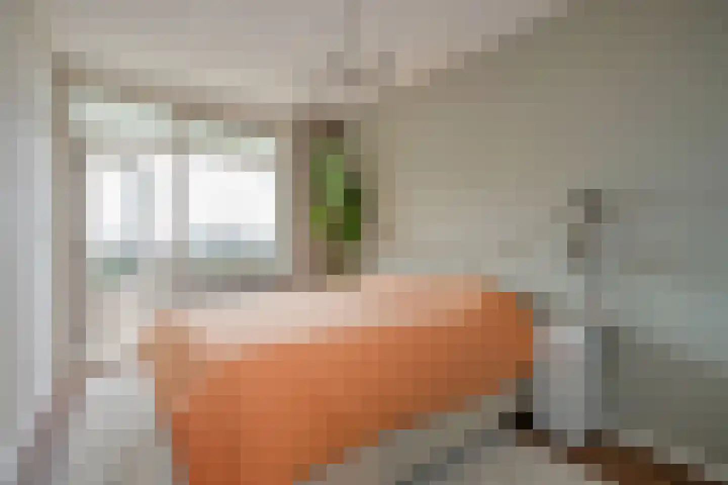 Jonkerbos 243 Zoetermeer thumbnail 22