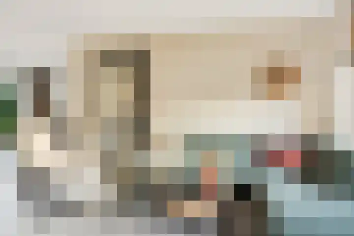 Jonkerbos 243 Zoetermeer thumbnail 29