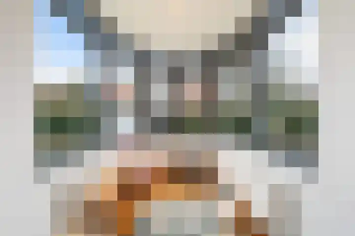 Jonkerlaan 34 Wassenaar thumbnail 20