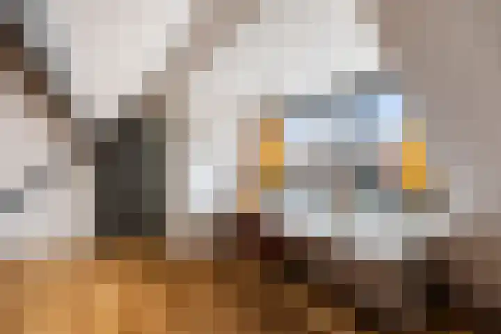 Jonkerlaan 34 Wassenaar thumbnail 43