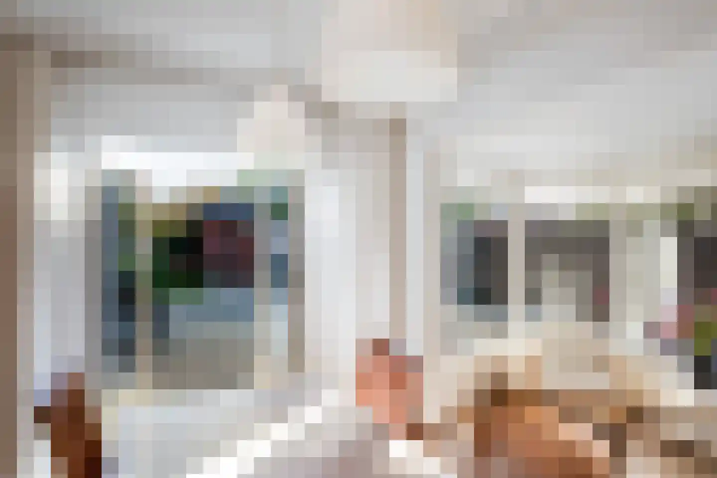 Jonkerlaantje 30 Edam thumbnail 15