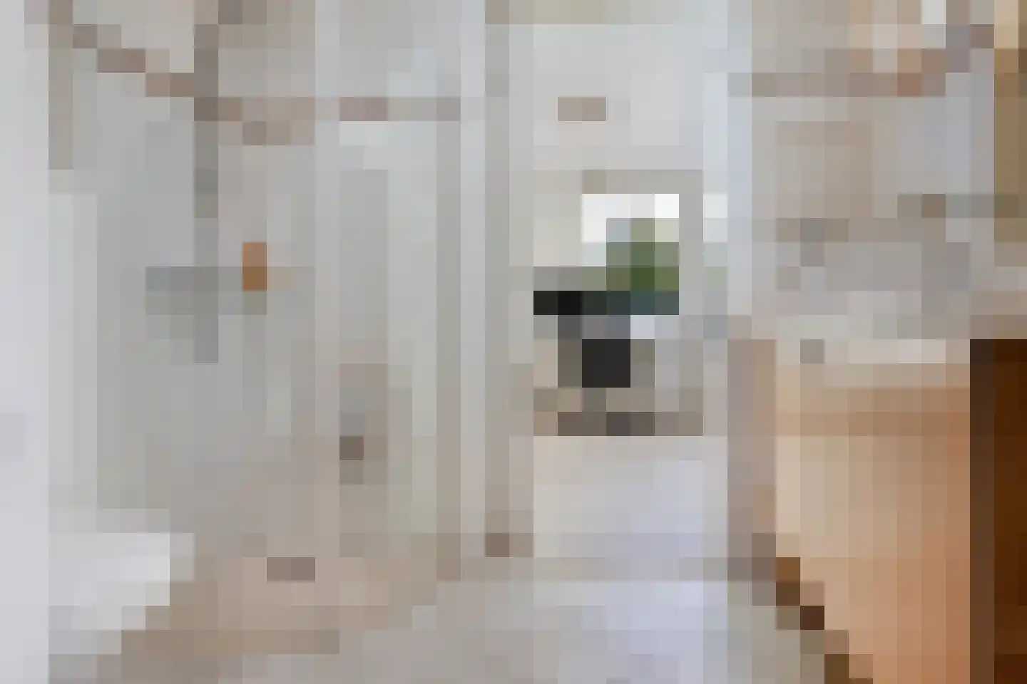 Jonkerlaantje 30 Edam thumbnail 22