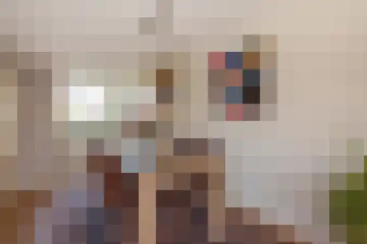 Jonkerlaantje 30 Edam thumbnail 23