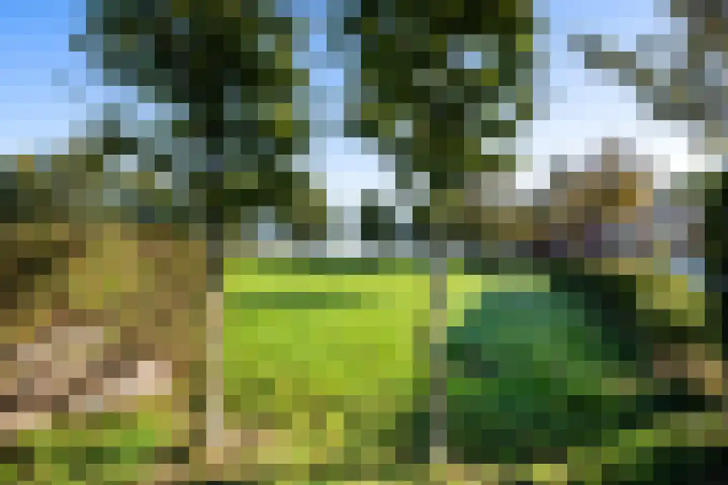 Jonkerlaantje 30 Edam thumbnail 54