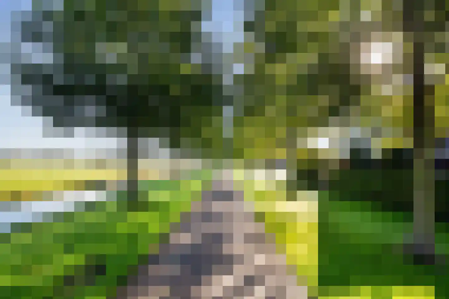 Jonkerlaantje 30 Edam thumbnail 57