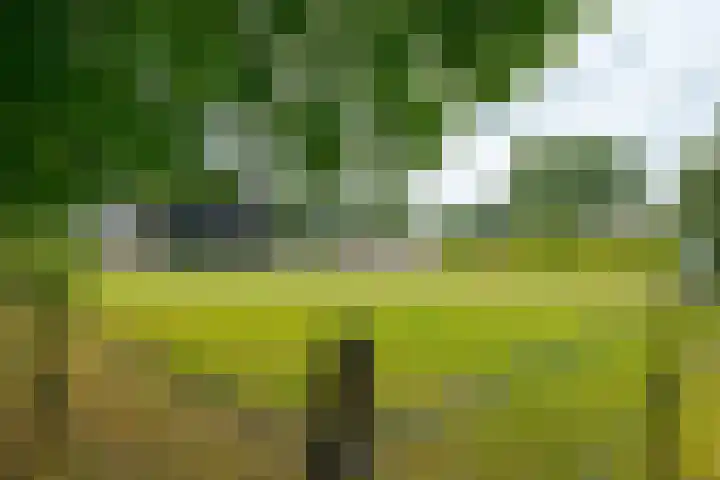 Jonkerlaantje 30 Edam thumbnail 69