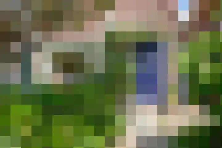Jonkerlaantje 38 Edam thumbnail 11