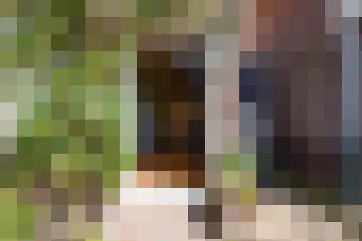 Jonkerlaantje 38 Edam thumbnail 12